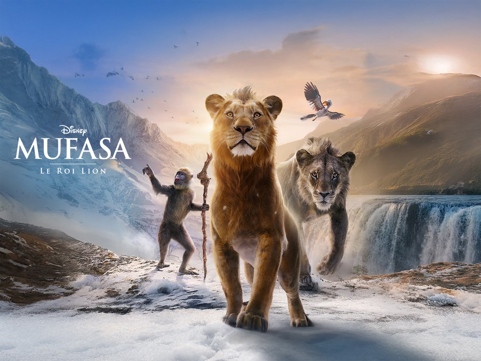 🦁 Mufasa le Roi Lion CGR Cinémas