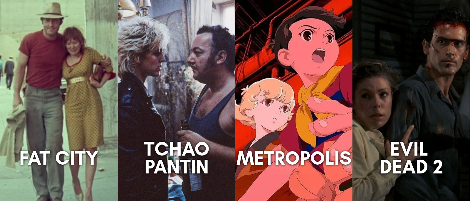 LES JOURNEES DU CINEMA PATRIMOINE : édition du mois de novembre